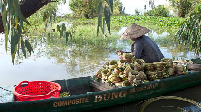 [-]Ngây[-]ngất[-]mùa[-]hoa[-]súng[-]miền[-]Tây